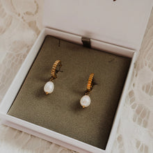 Load image into Gallery viewer, Katy B - Pearl Ribbed Hoops