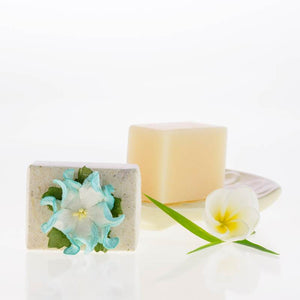 Pure Fiji Luxury Soap